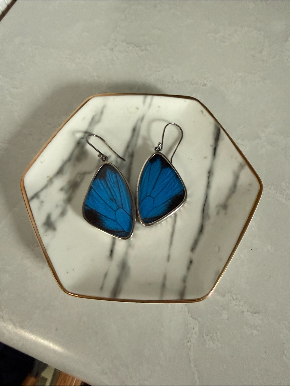 Blue Butterfly Wing Drop Earrings - Sterling Frame